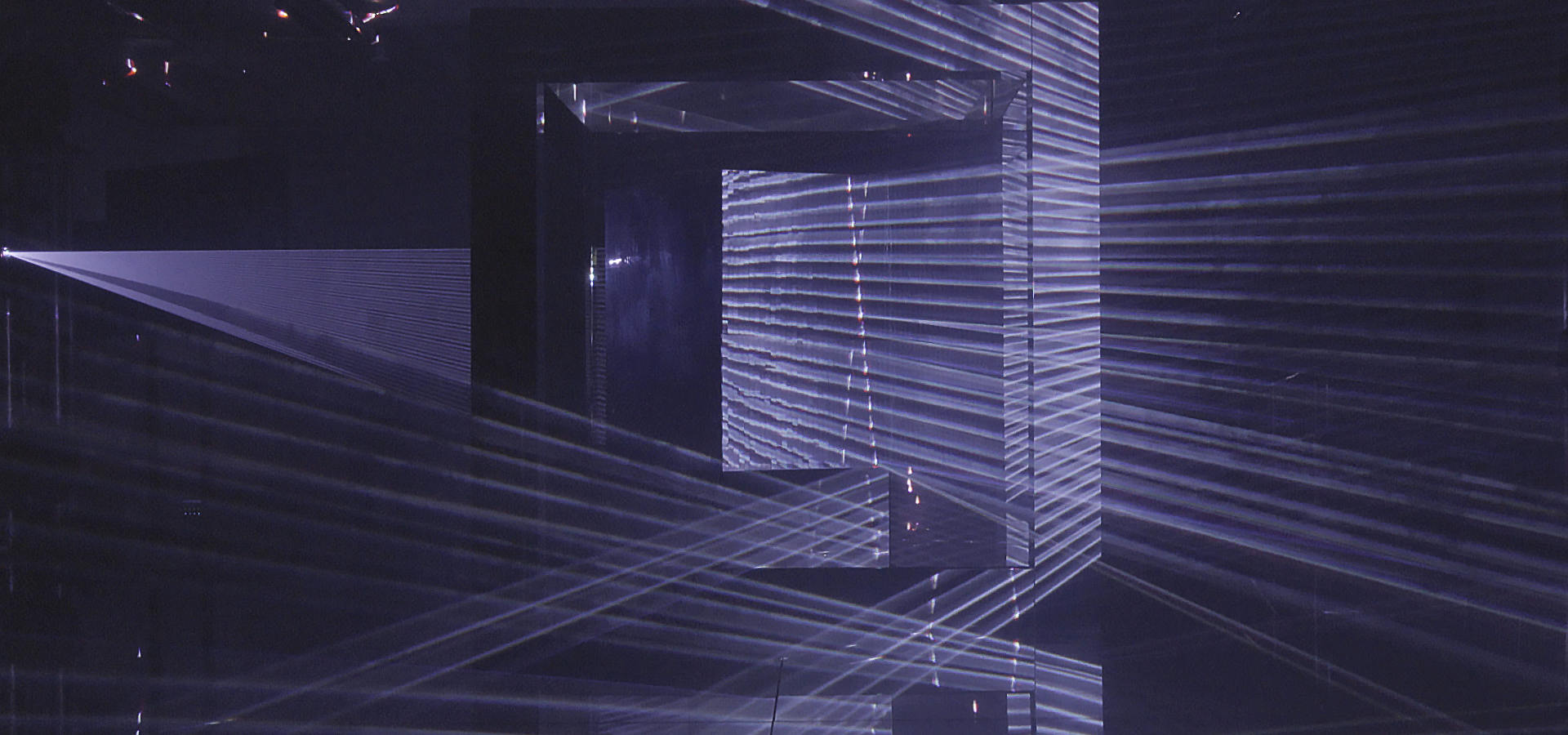 Enter The Dragon III Enter The Dragon III